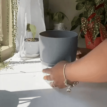 RefillMate - Automatic refilling